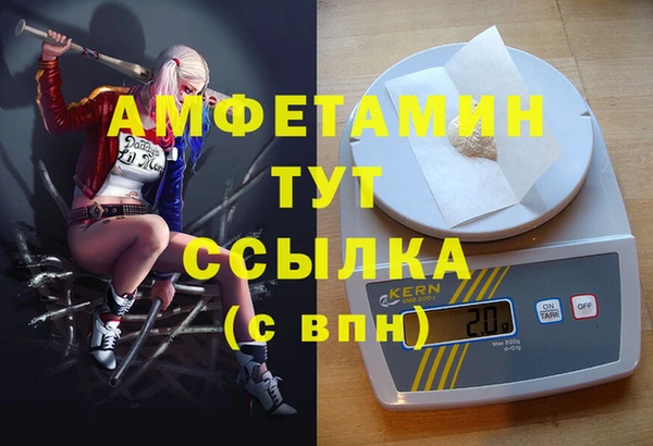 ешки Аркадак